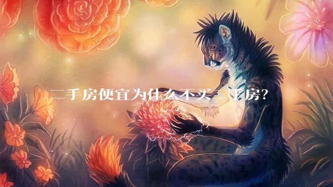 二手房便宜为什么不买二手房？