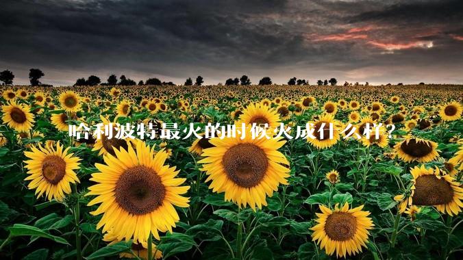 哈利波特最火的时候火成什么样？